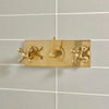 Unlacquered Brass Rain Shower System – 8" Head, Cross Handles, Handheld Sprayer | Solid Brass - The House Of Brass